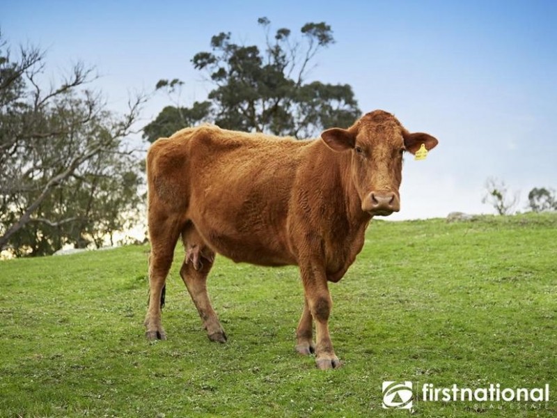 124 Kerrs La, Lysterfield VIC 3156