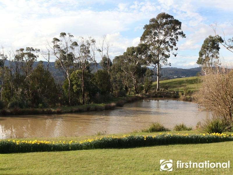 8 Chaundy Rd, Belgrave South VIC 3160