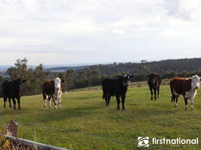 8 Chaundy Road, Belgrave South VIC 3160