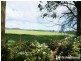 36 Grey Road, Gembrook VIC 3783