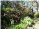 36 Grey Road, Gembrook VIC 3783
