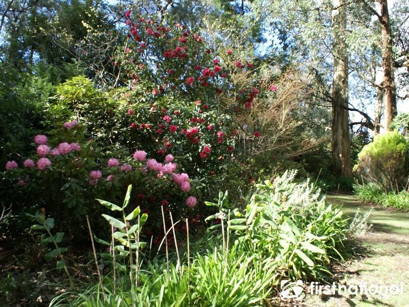 36 Grey Road, Gembrook VIC 3783