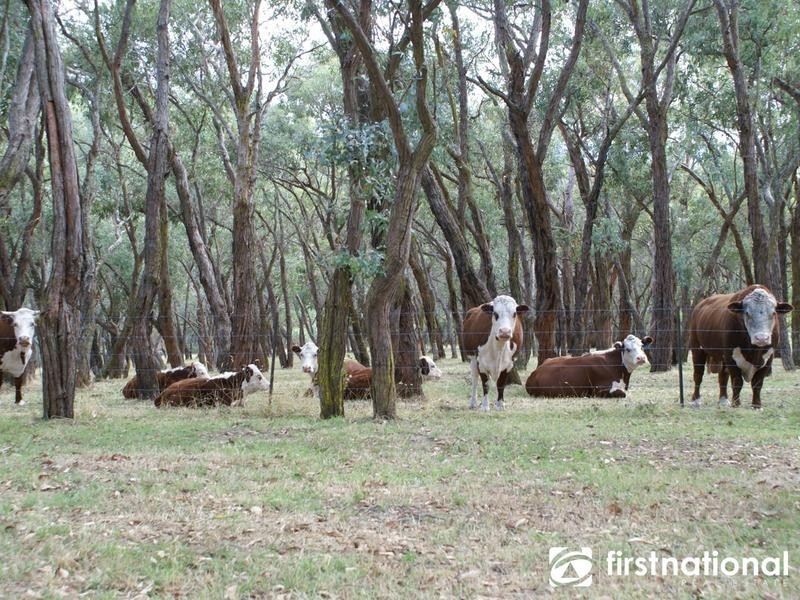 20 Morris Drive, Beaconsfield Upper VIC 3808