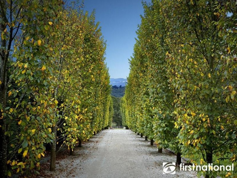 60-62 St Georges Road, Beaconsfield Upper VIC 3808