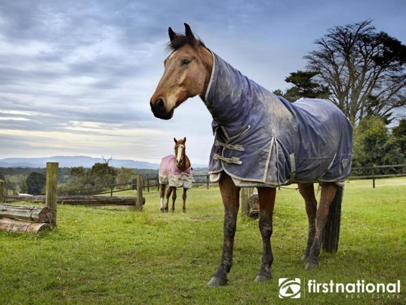 195 Split Rock Road, Beaconsfield Upper VIC 3808