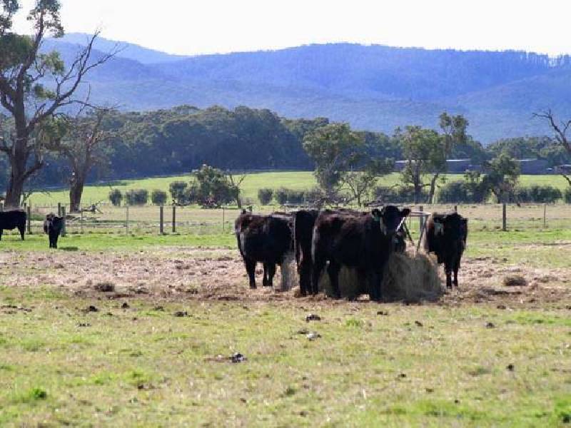 580 Ellis Road, Tonimbuk VIC 3815