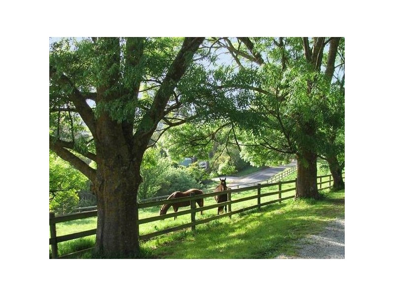 109 Bourkes Creek Road, Pakenham Upper VIC 3810