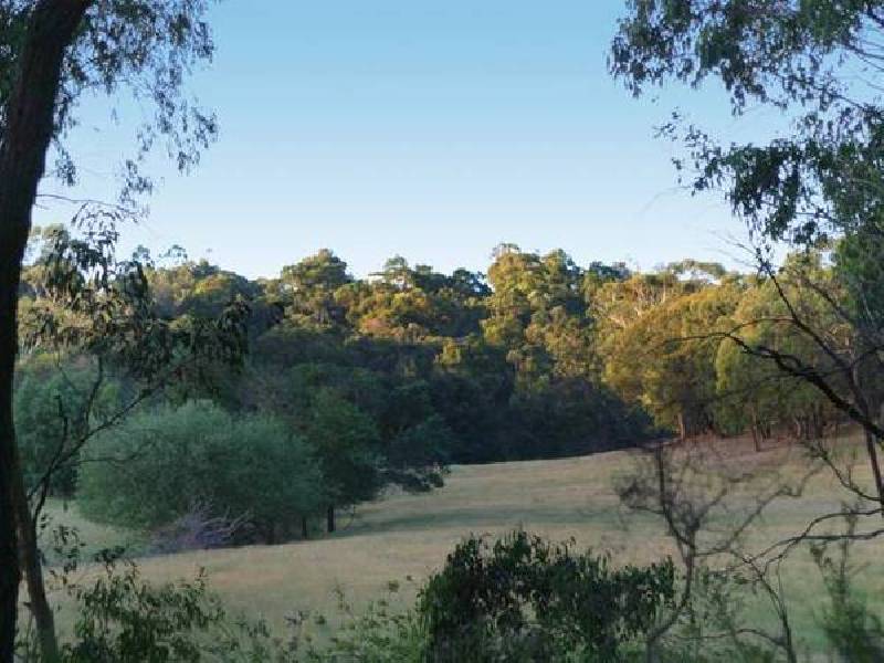 Shelton Road, Pakenham Upper VIC 3810