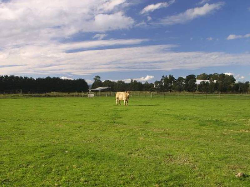 McMullen Road, Officer VIC 3809