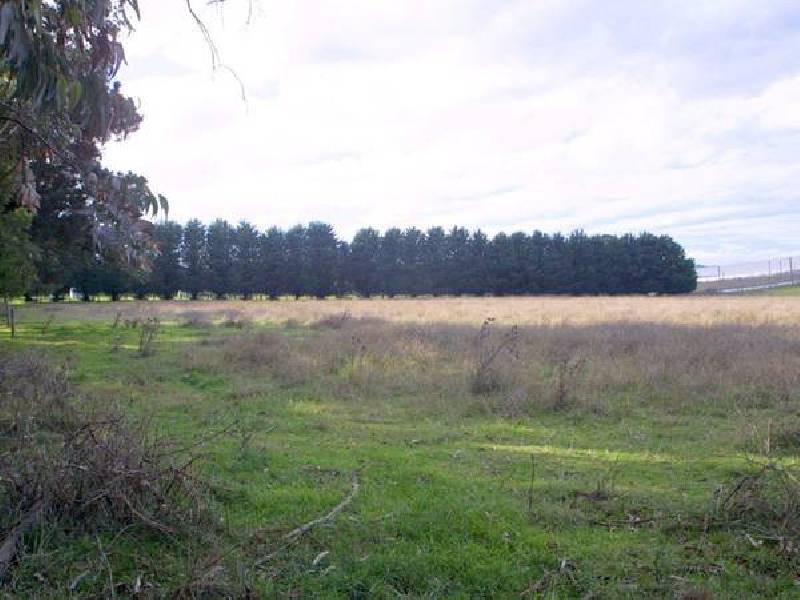 McMullen Road, Officer VIC 3809