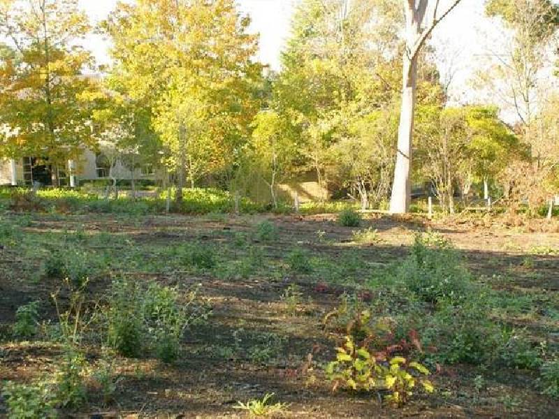 Elgin Street, Berwick VIC 3806