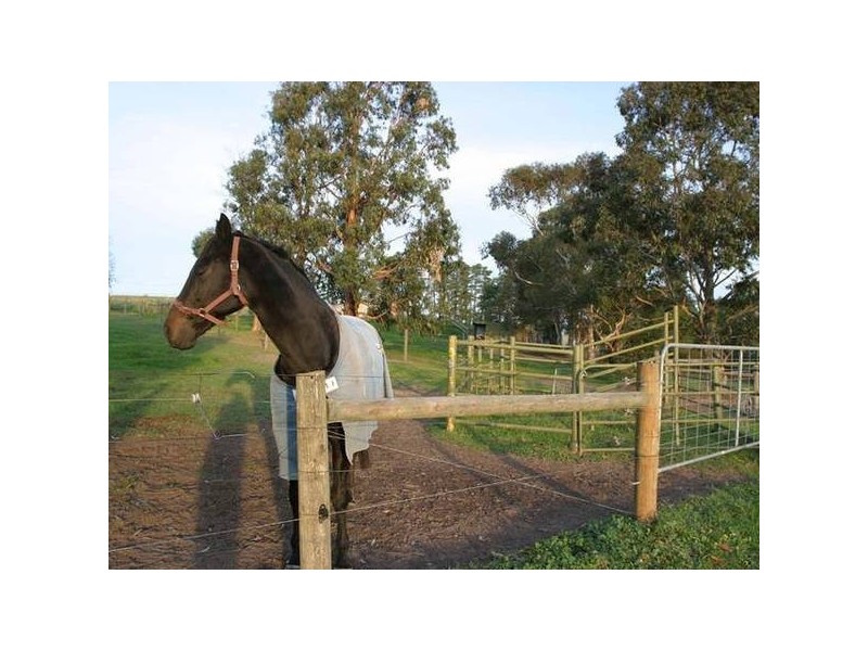 Bailey Road, Narre Warren North VIC 3804