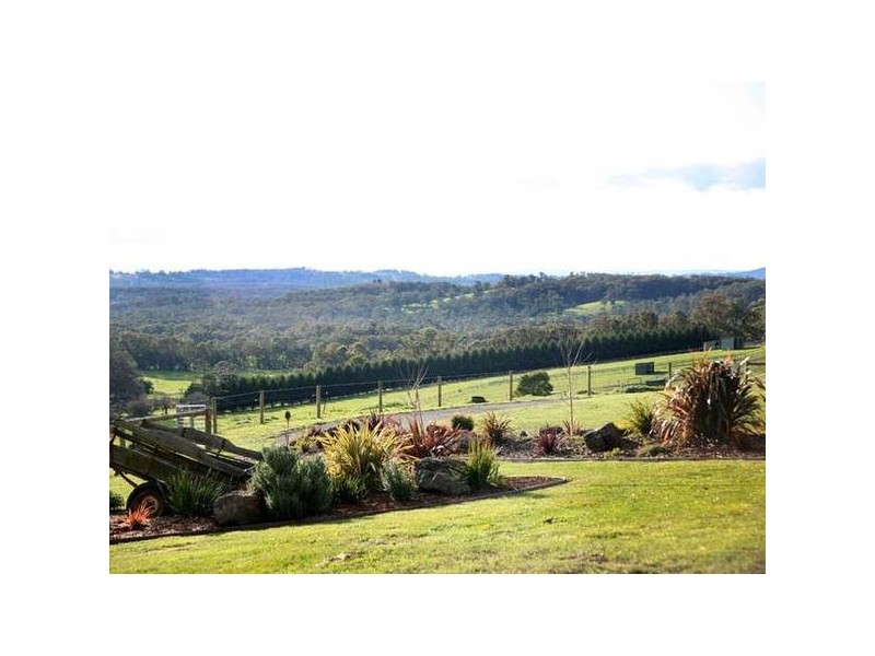 8 Brodrick Road, Macclesfield VIC 3782