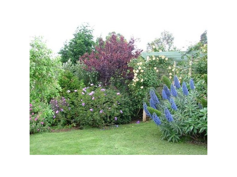 125 Huxtable Road, Pakenham Upper VIC 3810