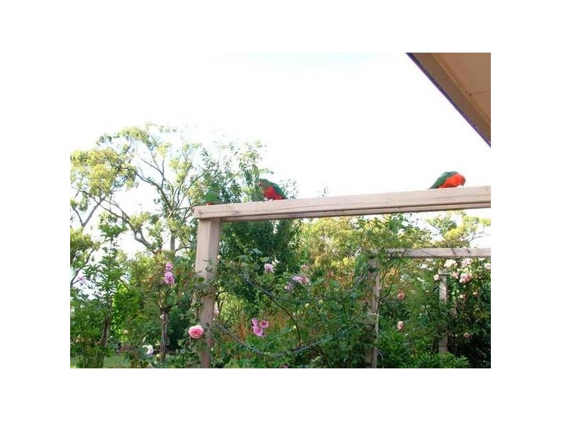 125 Huxtable Road, Pakenham Upper VIC 3810