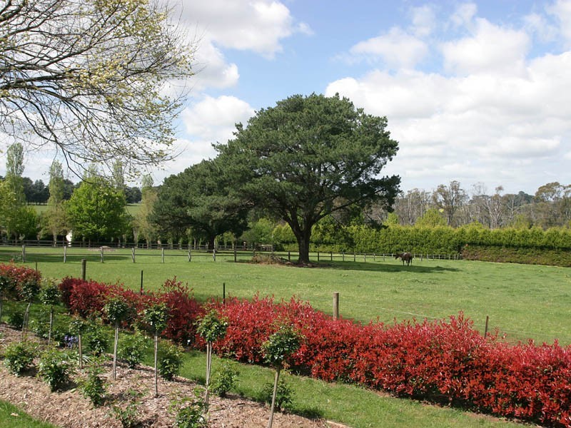 32 Noack Road, Harkaway VIC 3806