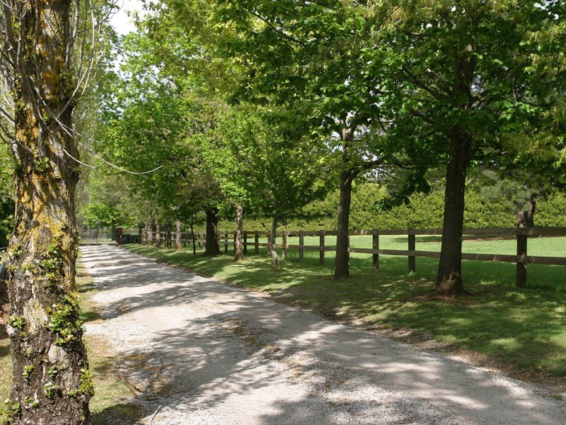 32 Noack Road, Harkaway VIC 3806