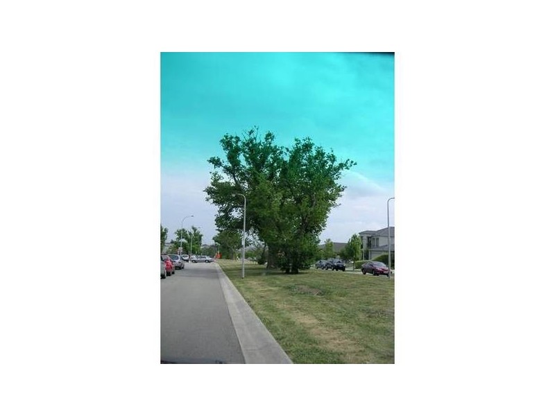 33 Canning Drive, Berwick VIC 3806