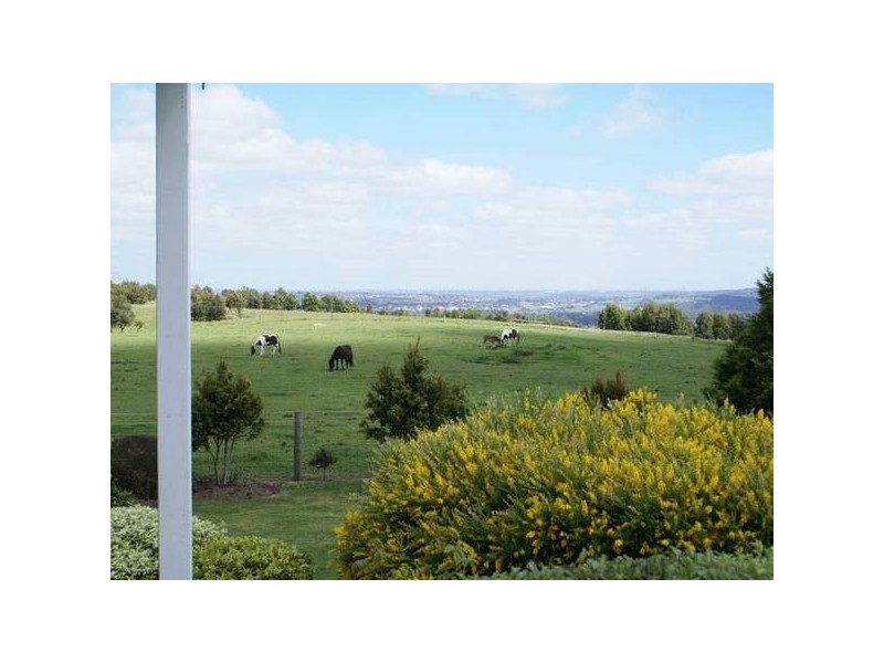 38 King Road, Harkaway VIC 3806