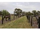 65 Coolibah Road, Pearcedale VIC 3912