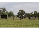 65 Coolibah Road, Pearcedale VIC 3912