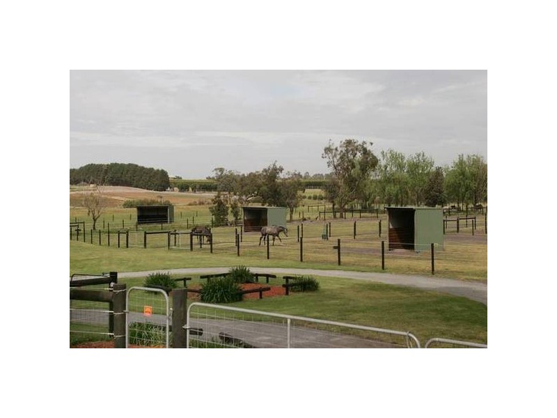 65 Coolibah Road, Pearcedale VIC 3912