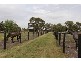 65 Coolibah Road, Pearcedale VIC 3912