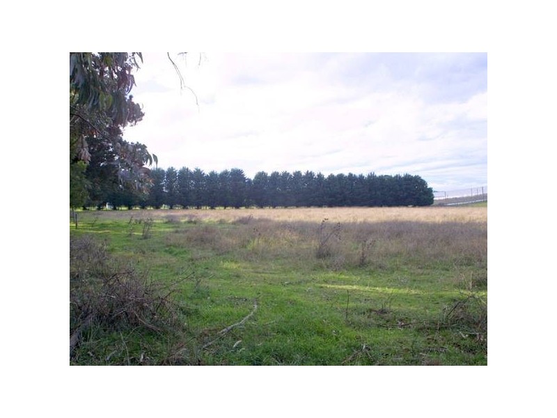 64 Mc Mullen Road, Officer VIC 3809