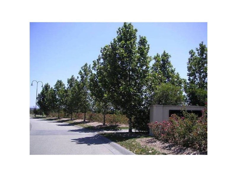 21 Locarno Place, Narre Warren South VIC 3805