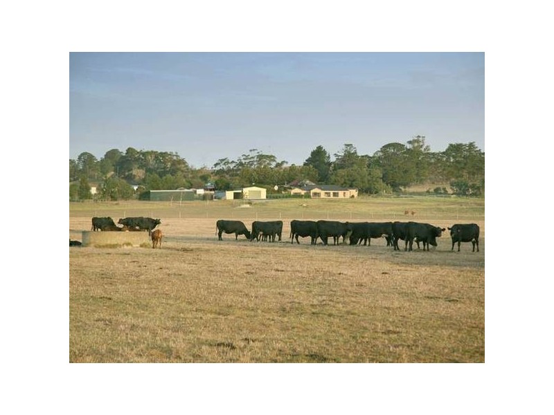 387 Coster Road, Ripplebrook VIC 3818