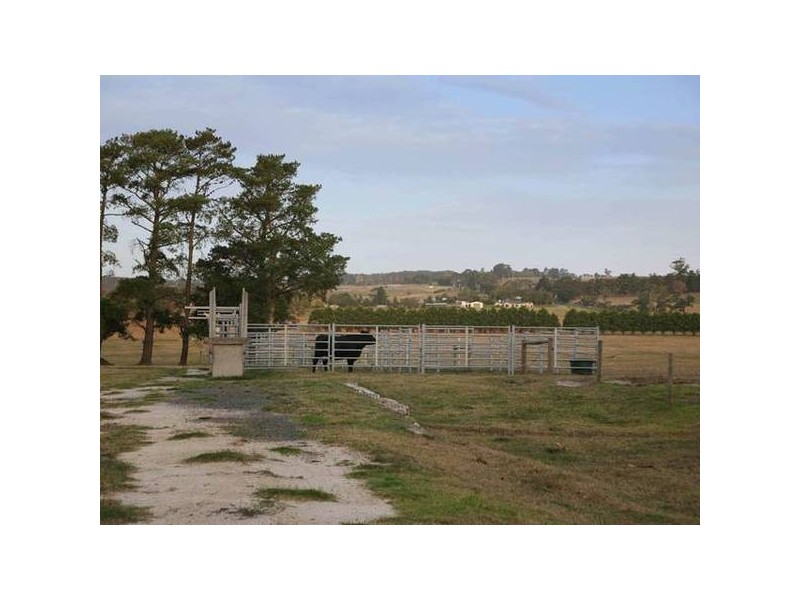 387 Coster Road, Ripplebrook VIC 3818