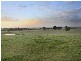 387 Coster Road, Ripplebrook VIC 3818