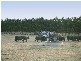 387 Coster Road, Ripplebrook VIC 3818