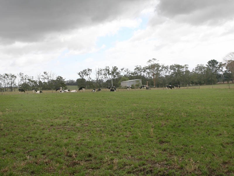 26 Moore Road, Drouin South VIC 3818