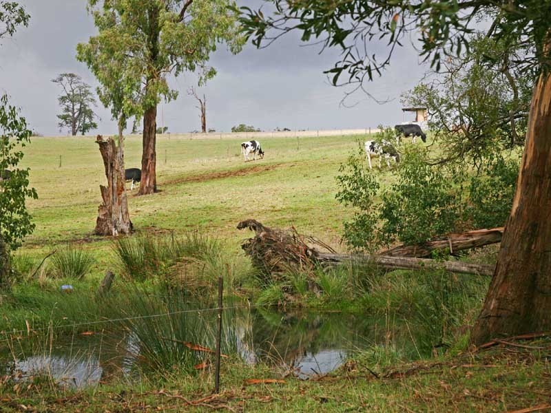 26 Moore Road, Drouin South VIC 3818