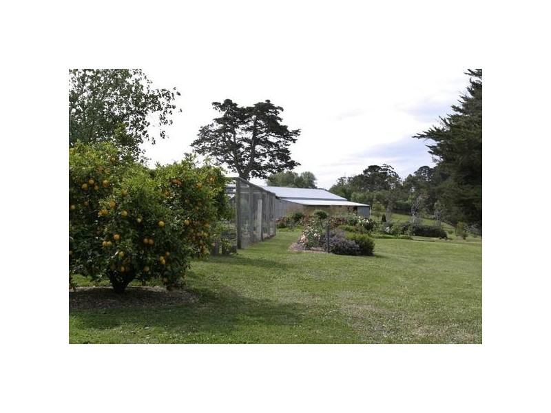 137 Harkaway Road, Berwick VIC 3806