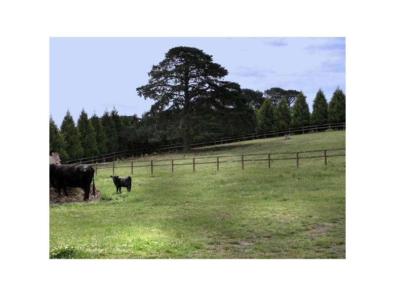 137-163 Harkaway Road, Harkaway VIC 3806