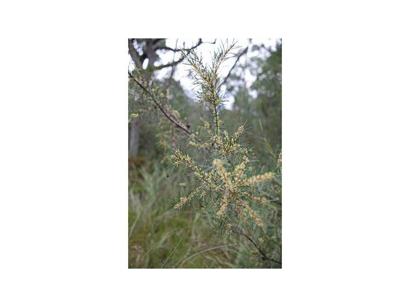 107-113 Beaconsfield-Emerald Road, Beaconsfield Upper VIC 3808