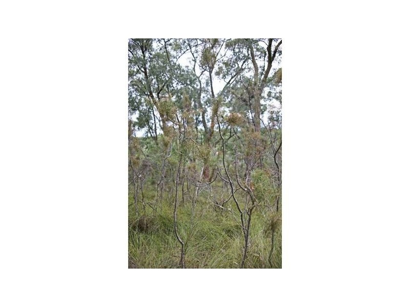 107-113 Beaconsfield-Emerald Road, Beaconsfield Upper VIC 3808