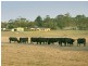 387 Coster Road, Ripplebrook VIC 3818