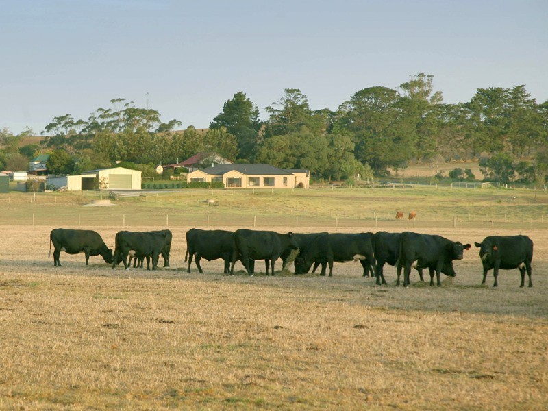 387 Coster Road, Ripplebrook VIC 3818
