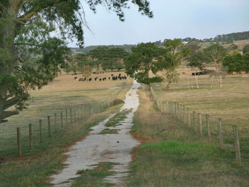 387 Coster Road, Ripplebrook VIC 3818