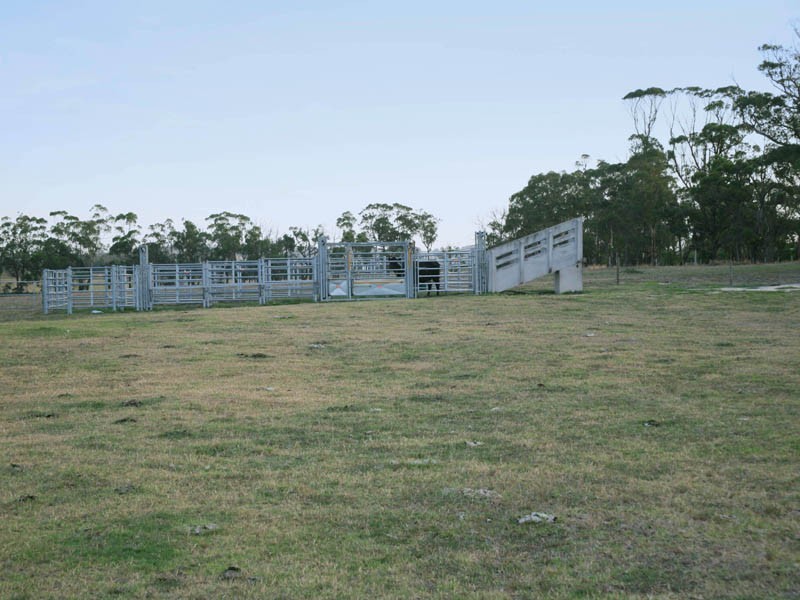 387 Coster Road, Ripplebrook VIC 3818