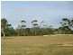 387 Coster Road, Ripplebrook VIC 3818