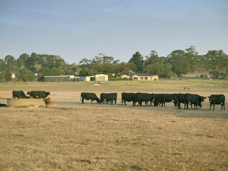 387 Coster Road, Ripplebrook VIC 3818