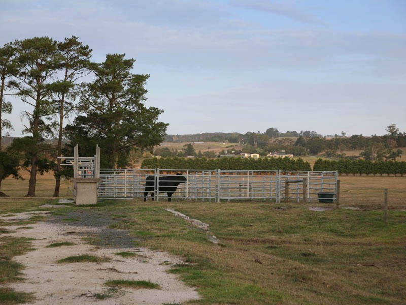 387 Coster Road, Ripplebrook VIC 3818