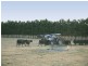 387 Coster Road, Ripplebrook VIC 3818