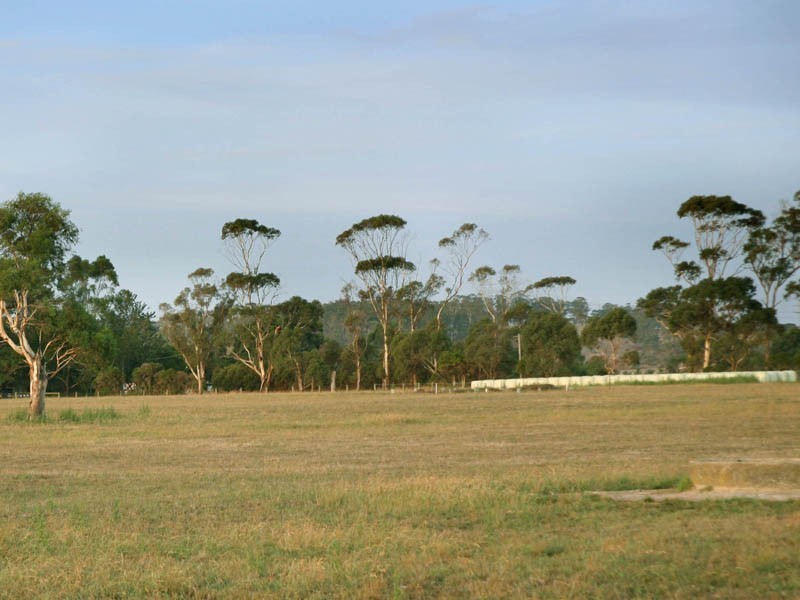 387 Coster Road, Ripplebrook VIC 3818