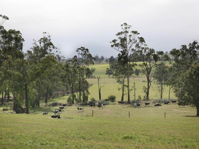 26 Moore Road, Drouin South VIC 3818