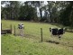 26 Moore Road, Drouin South VIC 3818